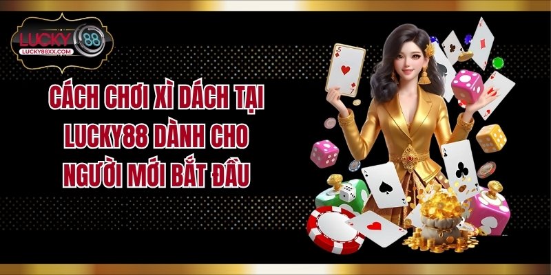 Cách Chơi Xì Dách Tại LUCKY88 Dành Cho Người Mới Bắt Đầu