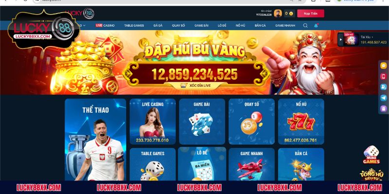 Giải đáp chi tiết về ứng dụng LUCKY88 online